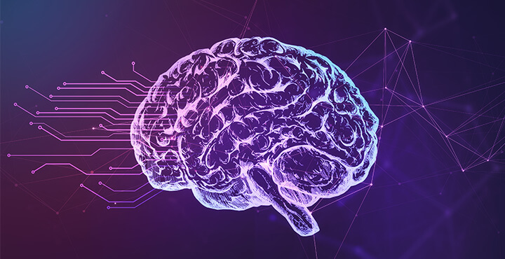 A stylized image of a brain