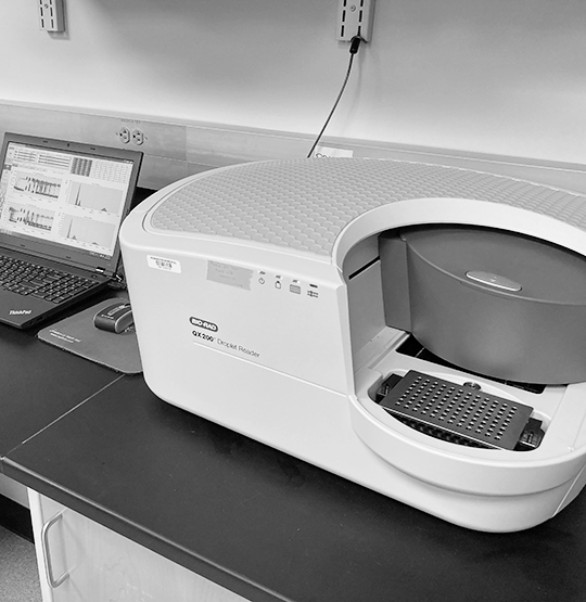 Digital Droplet PCR