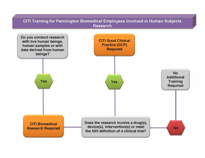 CITI Training for Pennington Biomedical Employees Involved in Human Subjects Research