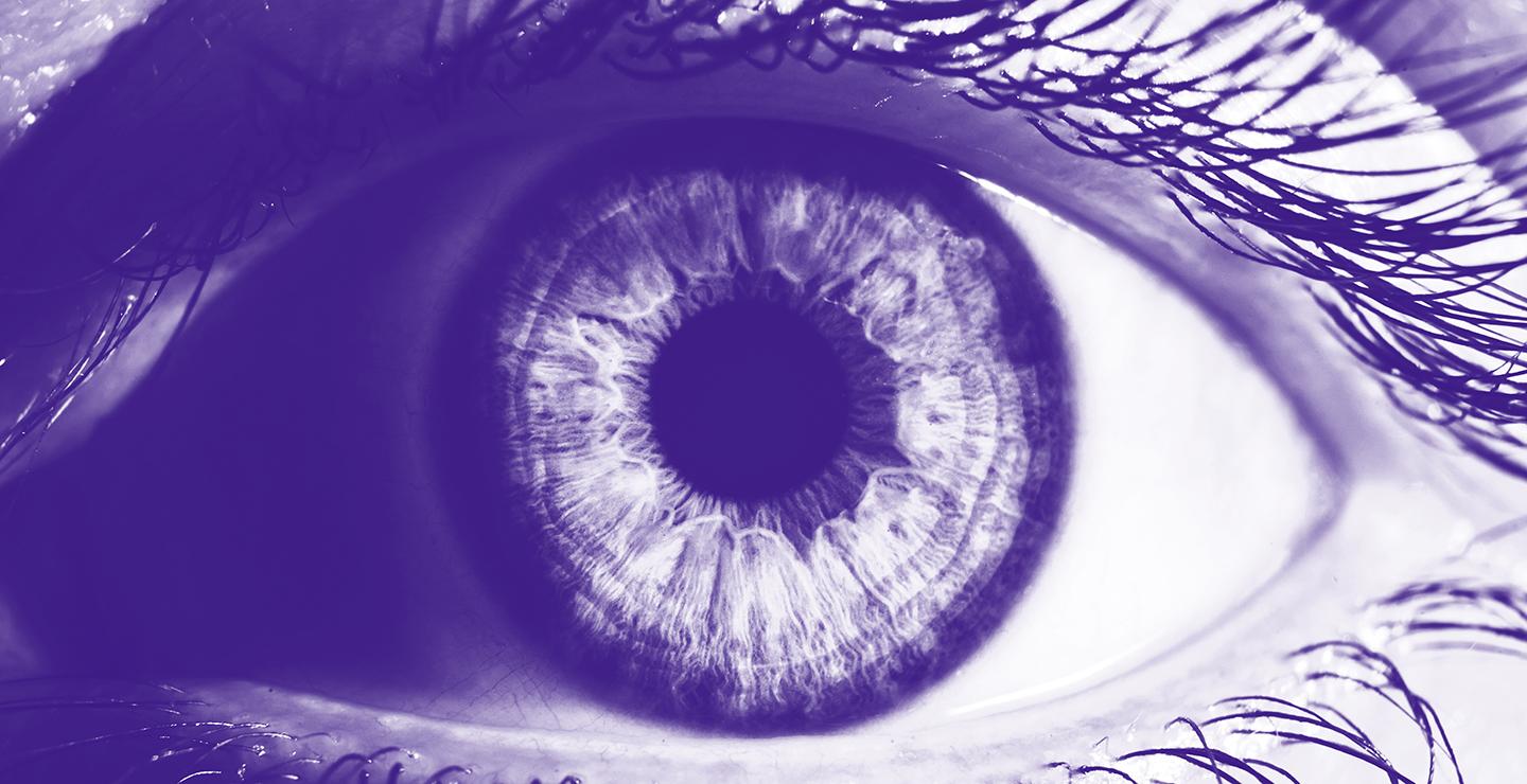 Image of an Eye