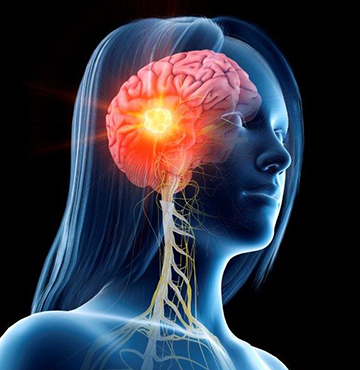 brain to spine interoception