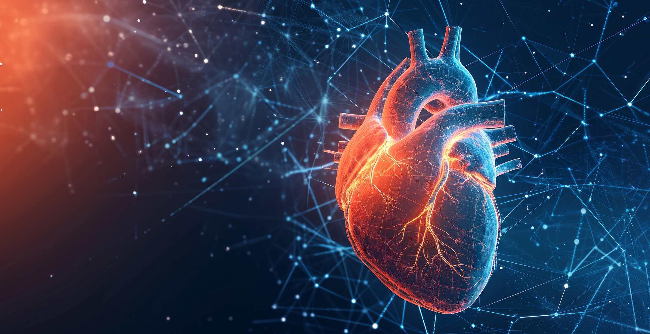 a stylized graphic of the heart