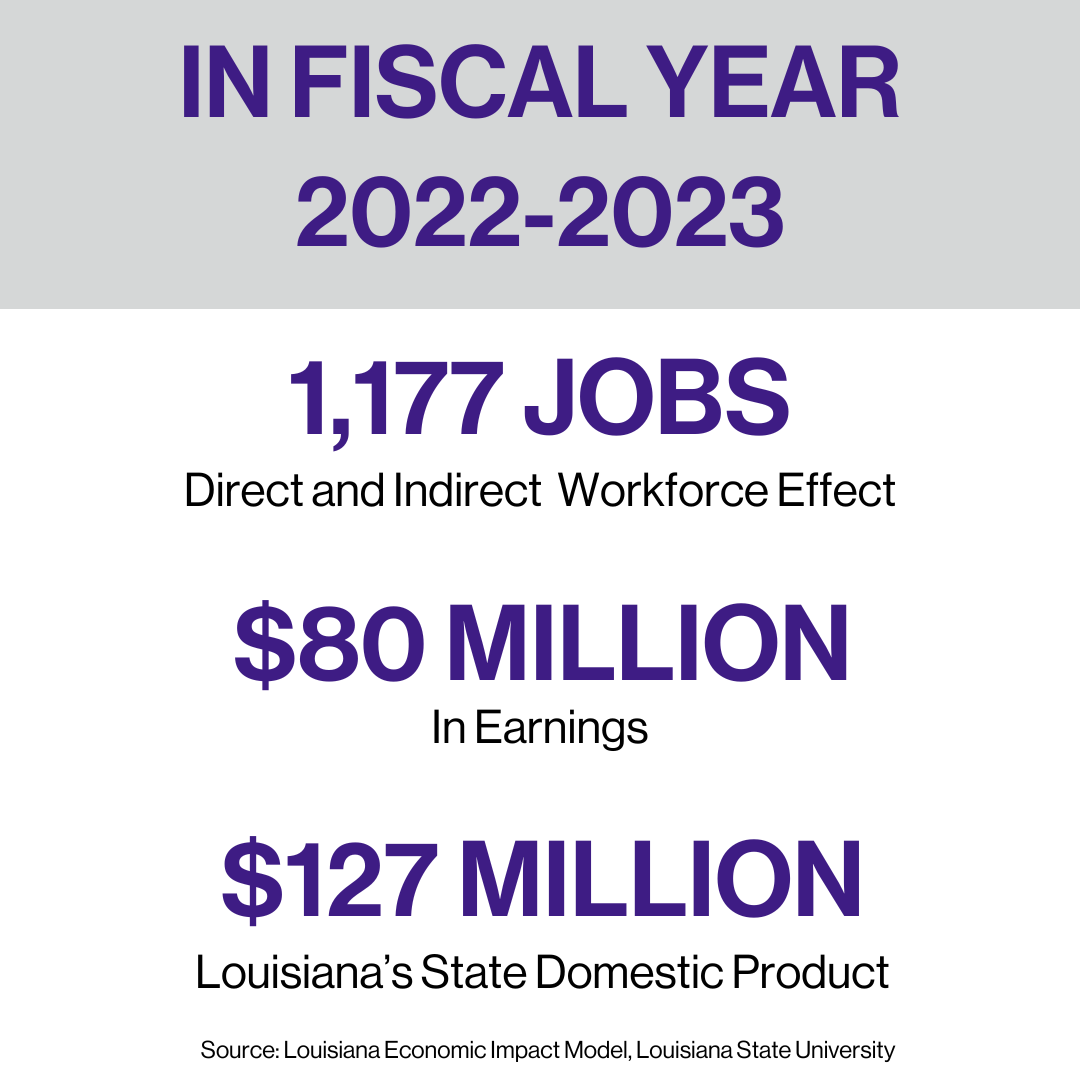 Fiscal Year Graphic