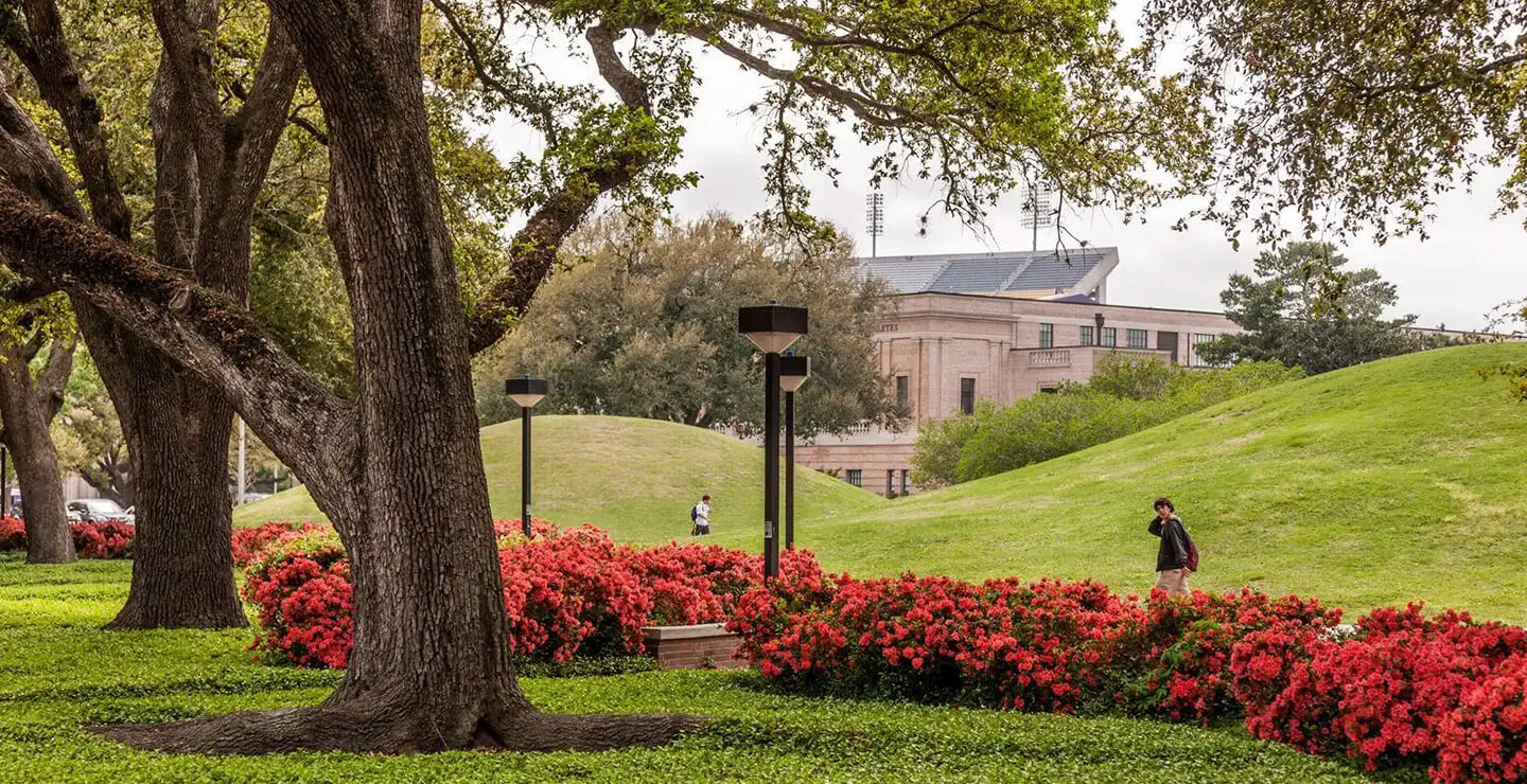 The main campus of LSU