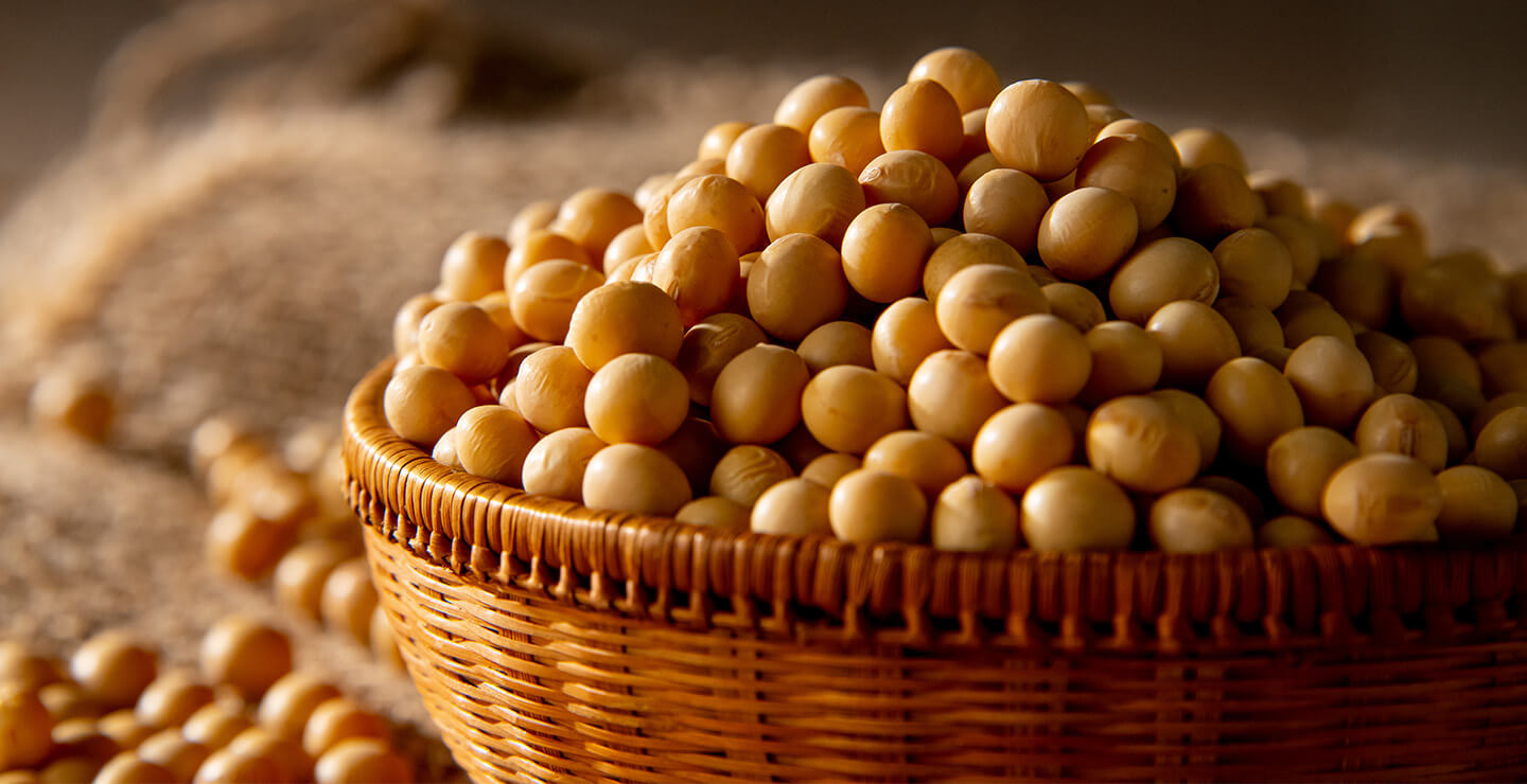 bowl of soy beans