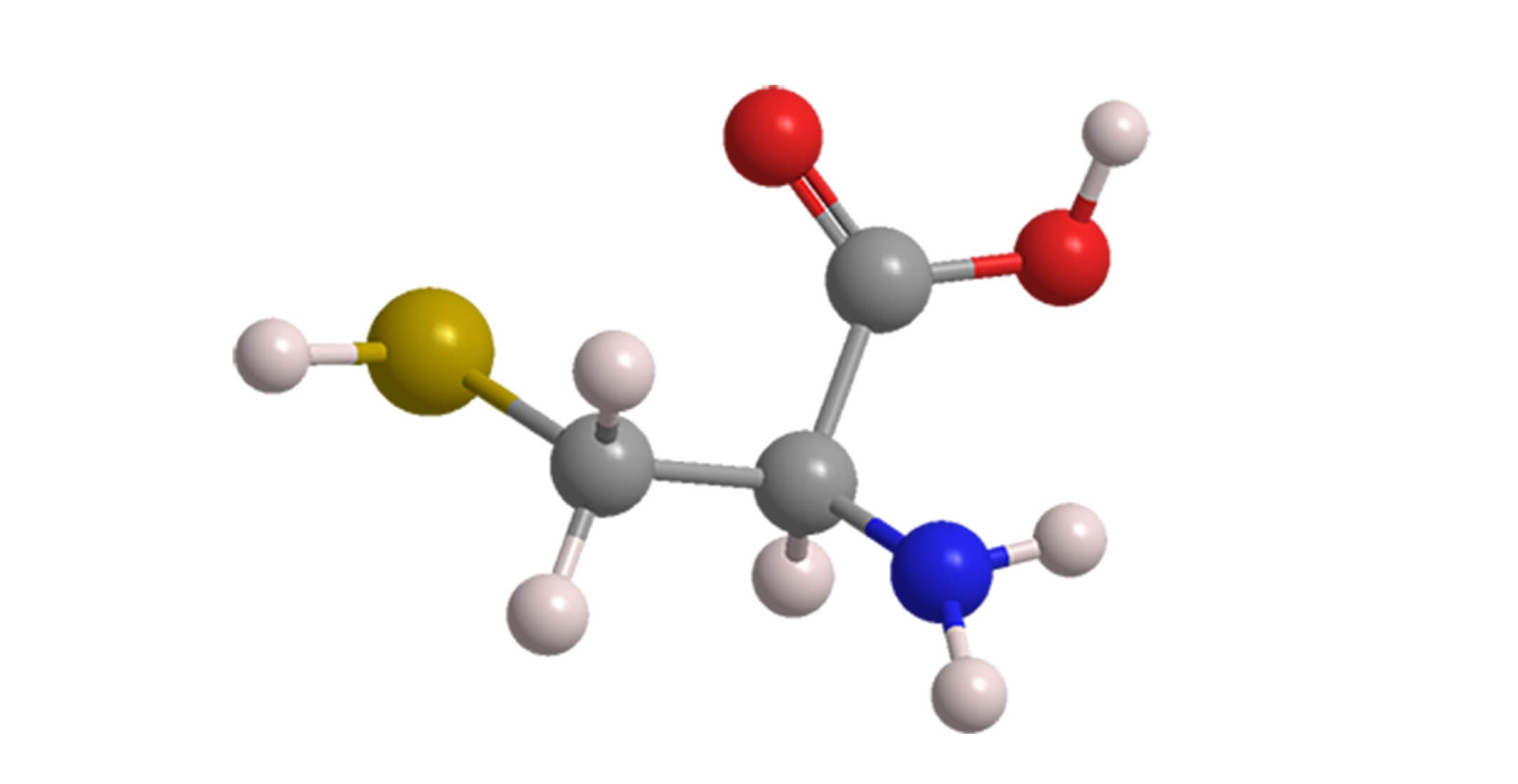 a diagram of the amino acid Cysteine