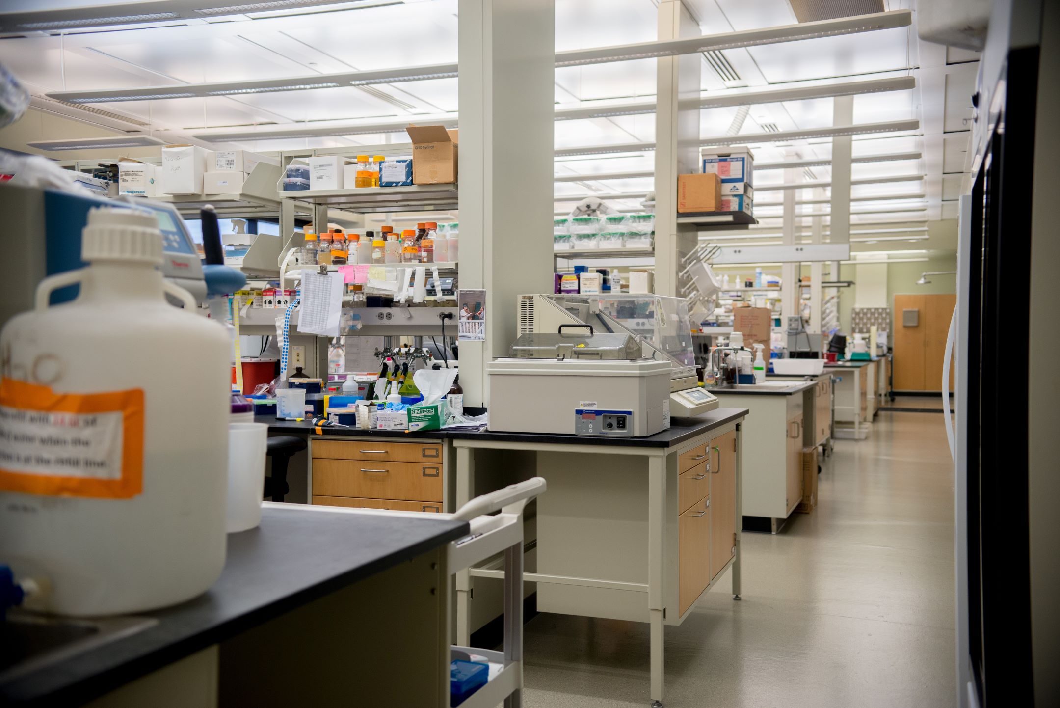 PBRC Basic Science Lab
