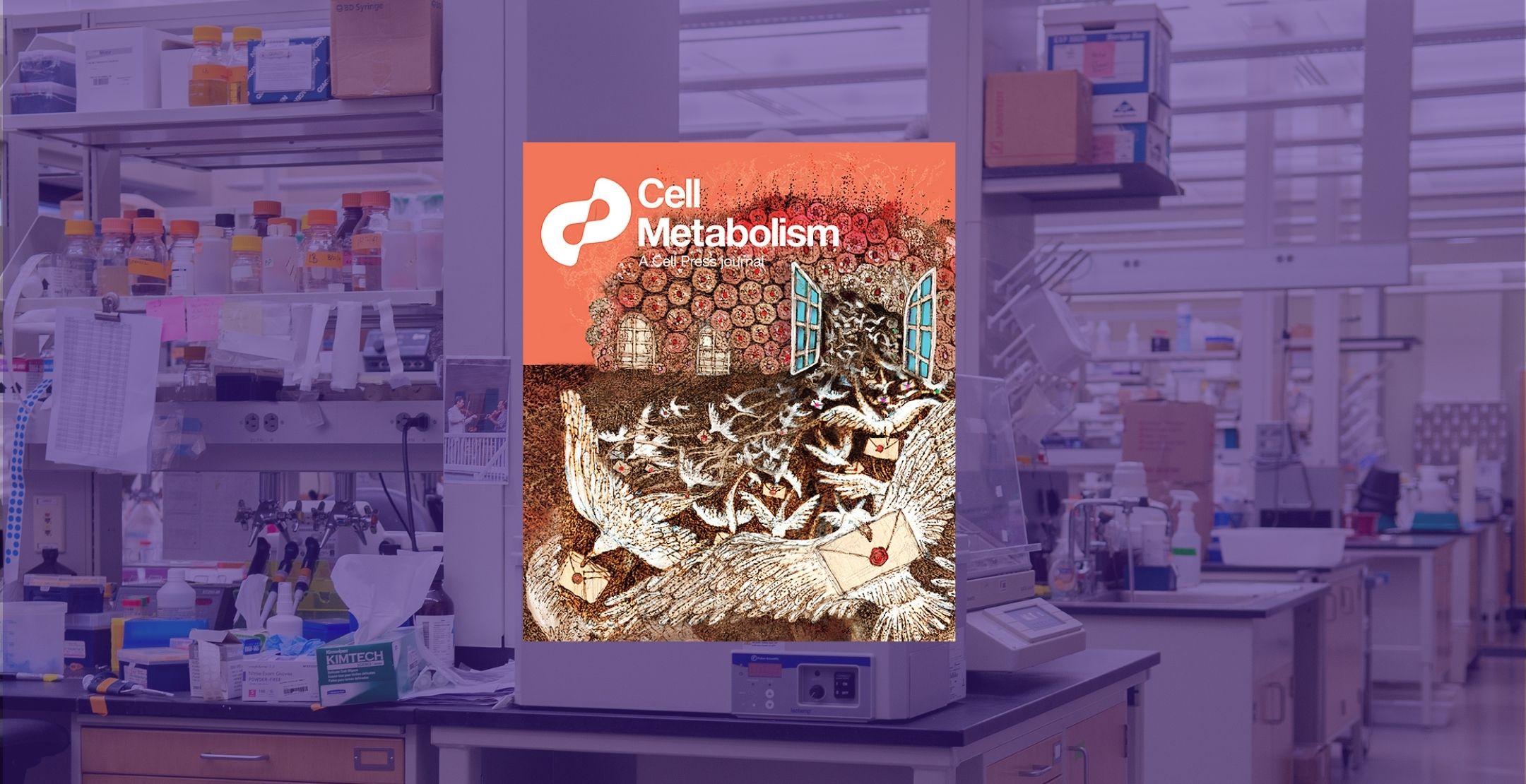 Cell Metabolism