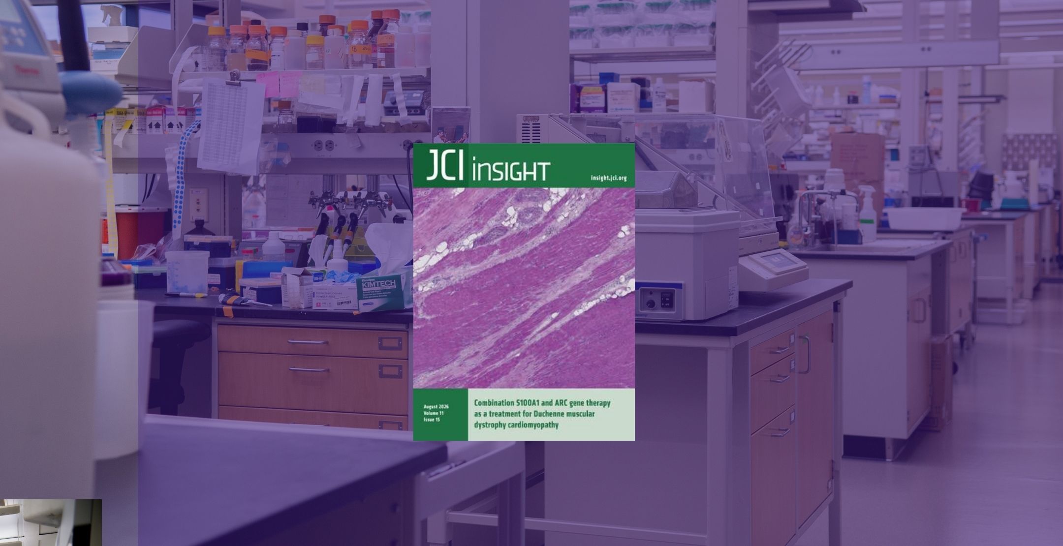 JCI Insight