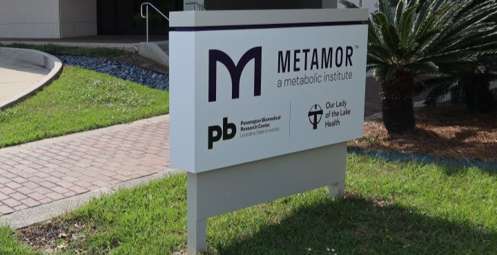 Metamor