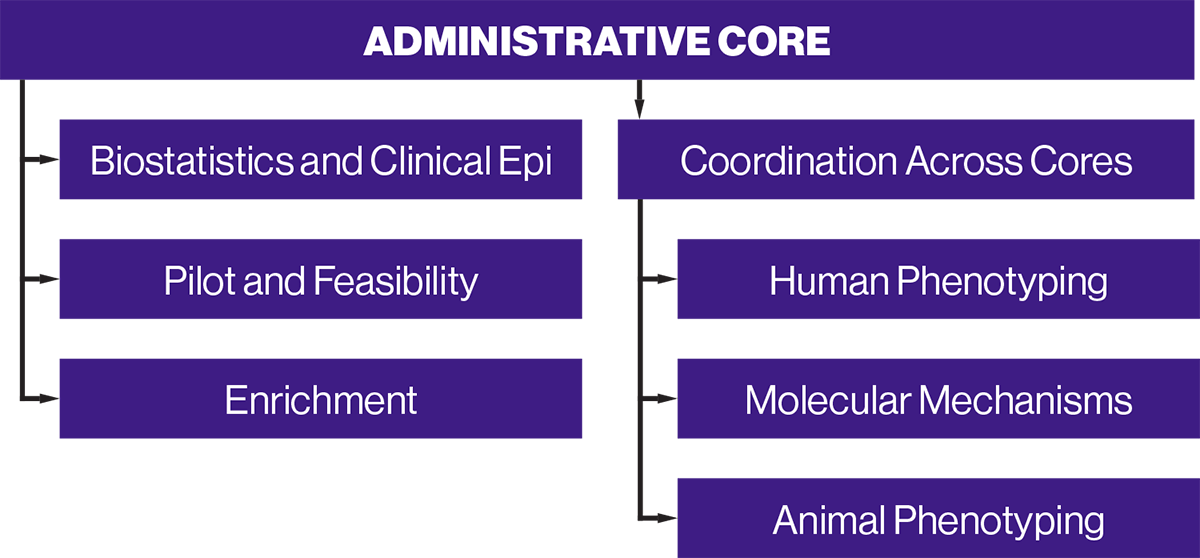 Administrative Structure