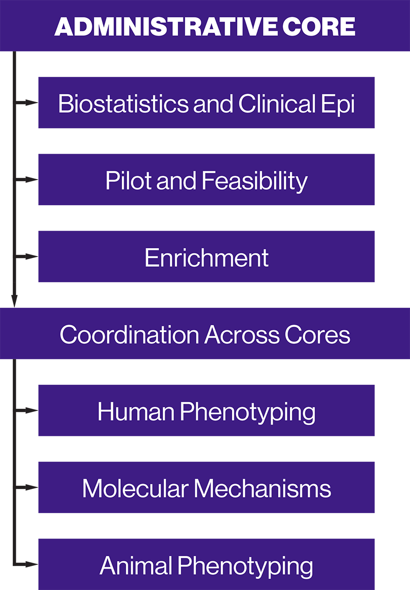 Administrative Structure