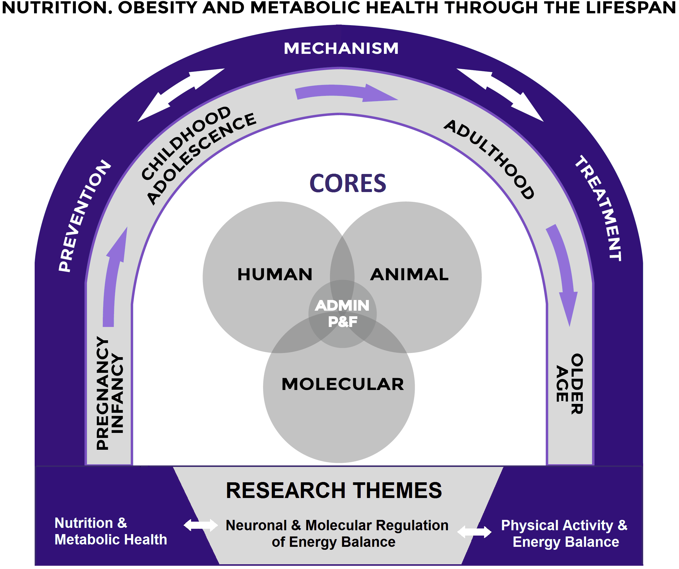 new york obesity nutrition research center